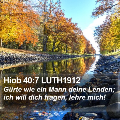 Hiob 40:7 LUTH1912 Bible Verse Image