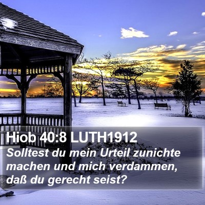 Hiob 40:8 LUTH1912 Bible Verse Image