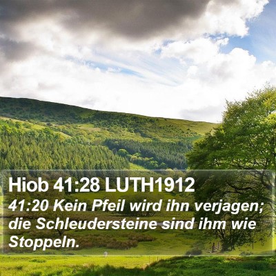 Hiob 41:28 LUTH1912 Bible Verse Image