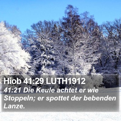 Hiob 41:29 LUTH1912 Bible Verse Image