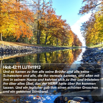 Hiob 42:11 LUTH1912 Bible Verse Image