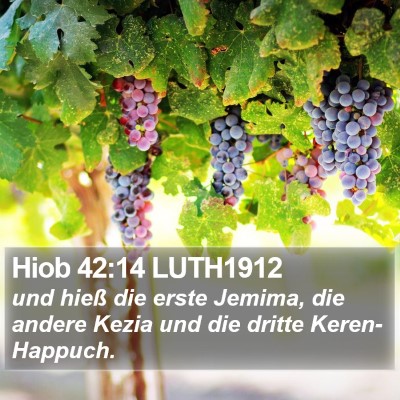 Hiob 42:14 LUTH1912 Bible Verse Image