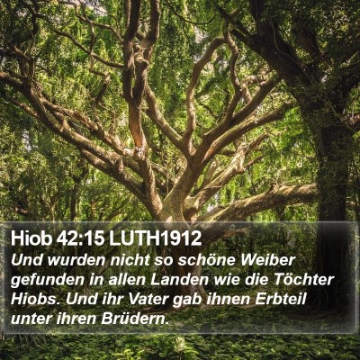 Hiob 42:15 LUTH1912 Bible Verse Image