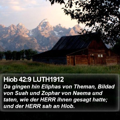 Hiob 42:9 LUTH1912 Bible Verse Image