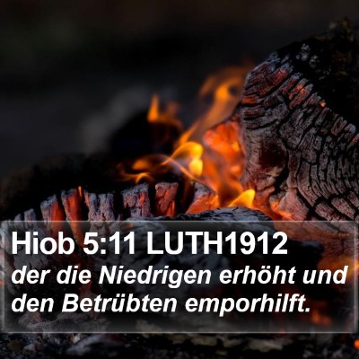Hiob 5:11 LUTH1912 Bible Verse Image