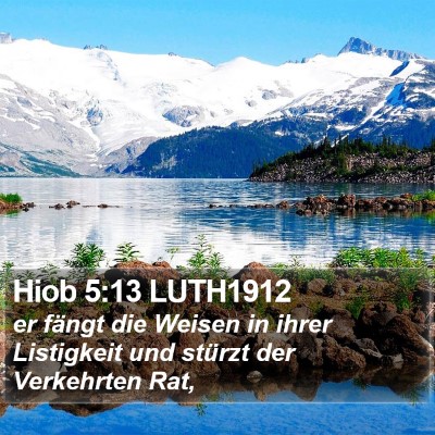 Hiob 5:13 LUTH1912 Bible Verse Image