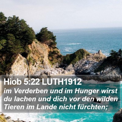 Hiob 5:22 LUTH1912 Bible Verse Image