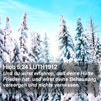 Hiob 5:24 LUTH1912 Bible Verse Image