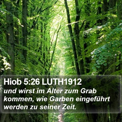 Hiob 5:26 LUTH1912 Bible Verse Image