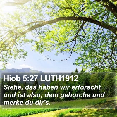 Hiob 5:27 LUTH1912 Bible Verse Image