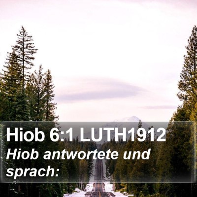 Hiob 6:1 LUTH1912 Bible Verse Image