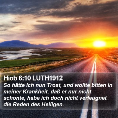 Hiob 6:10 LUTH1912 Bible Verse Image