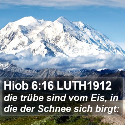 Hiob 6:16 LUTH1912 Bible Verse Image
