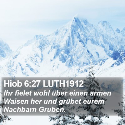 Hiob 6:27 LUTH1912 Bible Verse Image