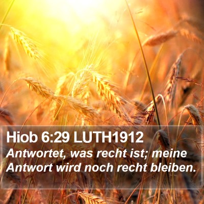 Hiob 6:29 LUTH1912 Bible Verse Image