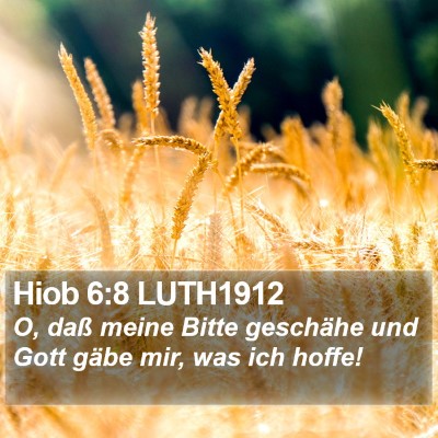 Hiob 6:8 LUTH1912 Bible Verse Image