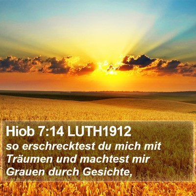 Hiob 7:14 LUTH1912 Bible Verse Image