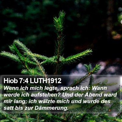 Hiob 7:4 LUTH1912 Bible Verse Image