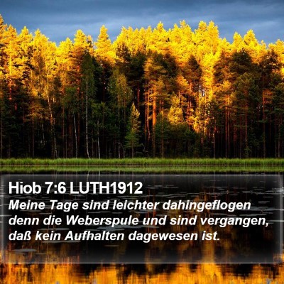 Hiob 7:6 LUTH1912 Bible Verse Image
