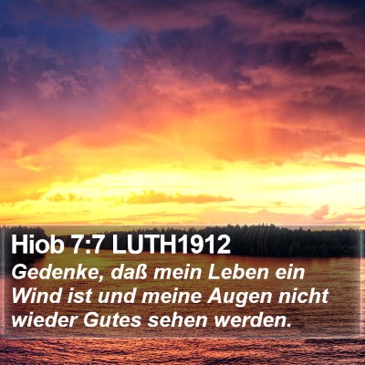 Hiob 7:7 LUTH1912 Bible Verse Image