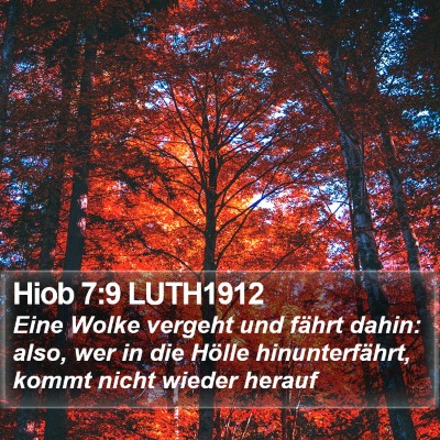 Hiob 7:9 LUTH1912 Bible Verse Image