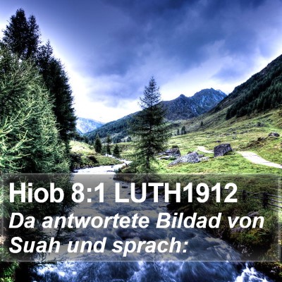 Hiob 8:1 LUTH1912 Bible Verse Image