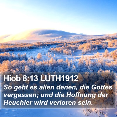 Hiob 8:13 LUTH1912 Bible Verse Image