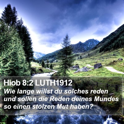 Hiob 8:2 LUTH1912 Bible Verse Image