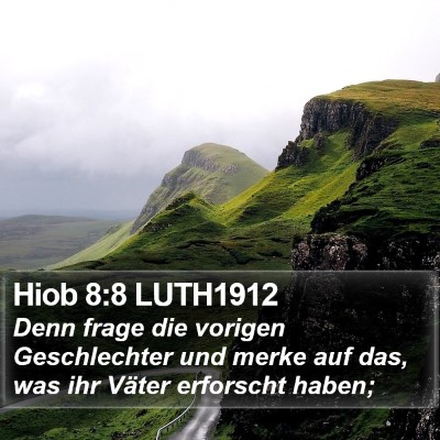 Hiob 8:8 LUTH1912 Bible Verse Image