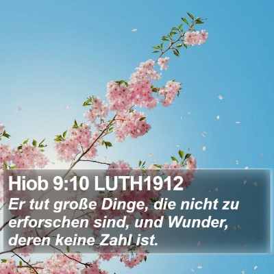 Hiob 9:10 LUTH1912 Bible Verse Image