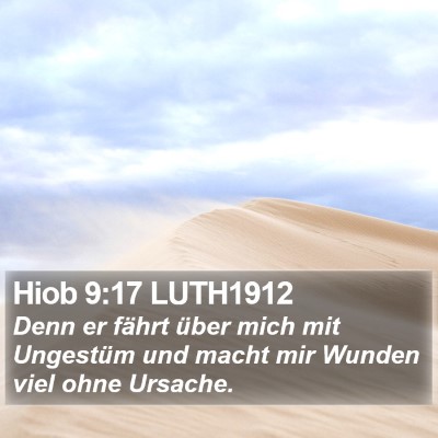 Hiob 9:17 LUTH1912 Bible Verse Image