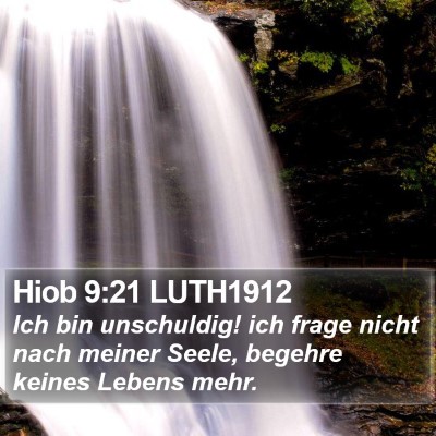 Hiob 9:21 LUTH1912 Bible Verse Image