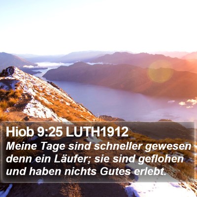 Hiob 9:25 LUTH1912 Bible Verse Image