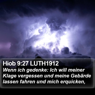 Hiob 9:27 LUTH1912 Bible Verse Image