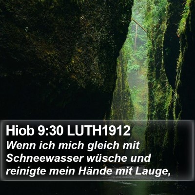 Hiob 9:30 LUTH1912 Bible Verse Image