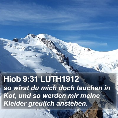 Hiob 9:31 LUTH1912 Bible Verse Image