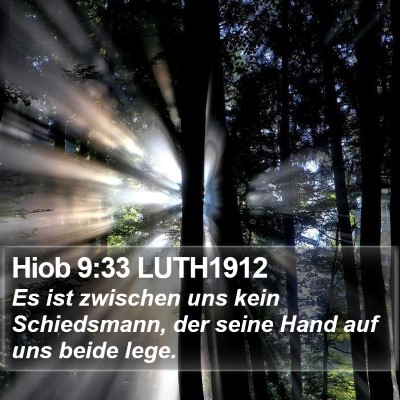 Hiob 9:33 LUTH1912 Bible Verse Image