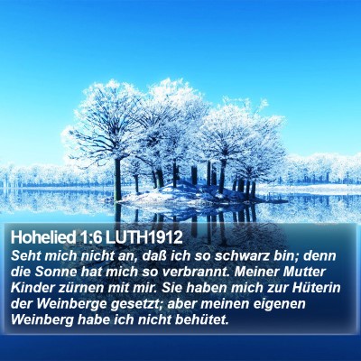 Hohelied 1:6 LUTH1912 Bible Verse Image
