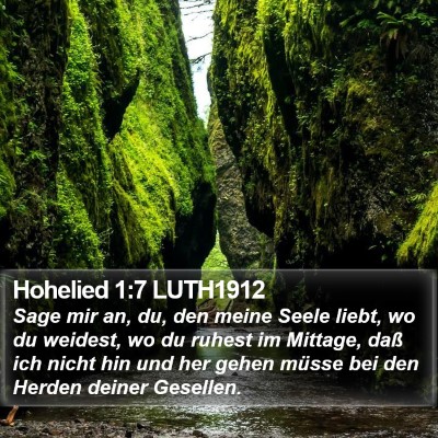 Hohelied 1:7 LUTH1912 Bible Verse Image