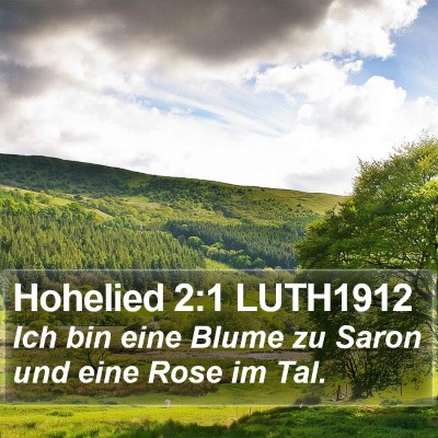 Hohelied 2:1 LUTH1912 Bible Verse Image