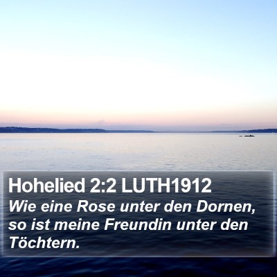 Hohelied 2:2 LUTH1912 Bible Verse Image