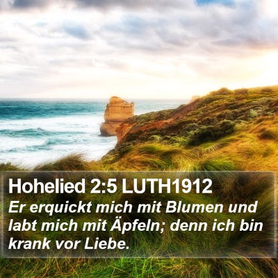 Hohelied 2:5 LUTH1912 Bible Verse Image