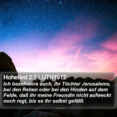 Hohelied 2:7 LUTH1912 Bible Verse Image