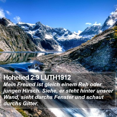 Hohelied 2:9 LUTH1912 Bible Verse Image