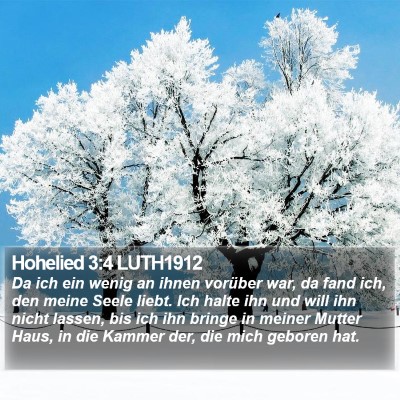Hohelied 3:4 LUTH1912 Bible Verse Image