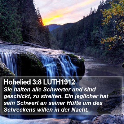 Hohelied 3:8 LUTH1912 Bible Verse Image