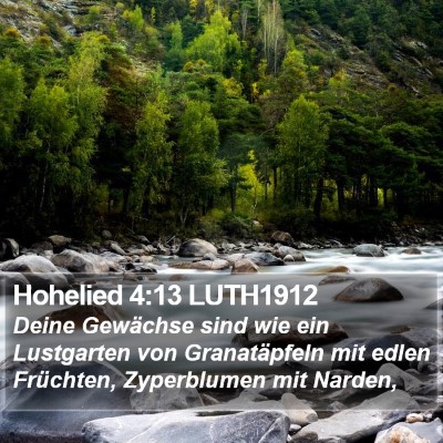 Hohelied 4:13 LUTH1912 Bible Verse Image
