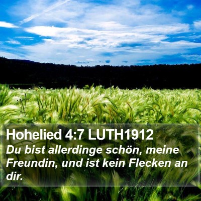 Hohelied 4:7 LUTH1912 Bible Verse Image