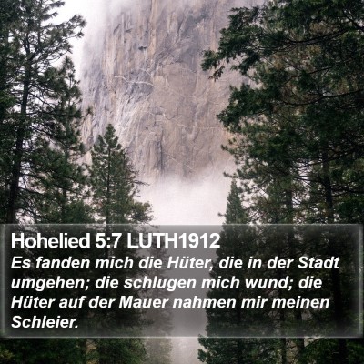 Hohelied 5:7 LUTH1912 Bible Verse Image