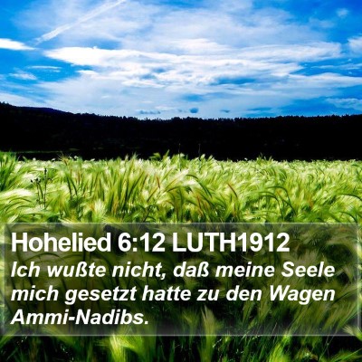 Hohelied 6:12 LUTH1912 Bible Verse Image